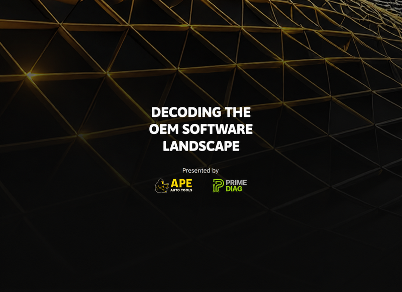 Decoding the OEM Software Landscape